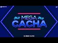 MEGA PLA CACHA PLA  ✘ DJ MARIO FLEYTA  [ REMIX FIESTERO ]