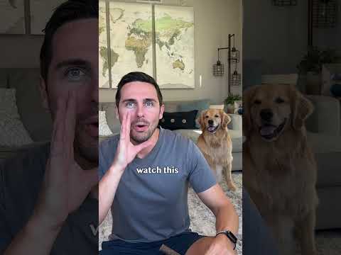 Video: Smart hundeleker