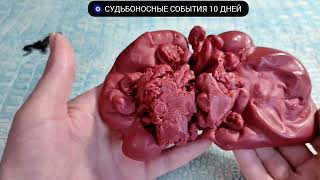 видео: 🔥 1 - 10 НОЯБРЯ 2025 СУДЬБОНОСНЫЕ СОБЫТИЯ НЕДЕЛИ Узнай что ждёт! Гадание на воске картинка: 🔥 1 - 10 НОЯБРЯ 2025 СУДЬБОНОСНЫЕ СОБЫТИЯ НЕДЕЛИ Узнай что ждёт! Гадание на воске