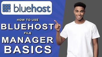 How to use bluehost file manager basics (2024)