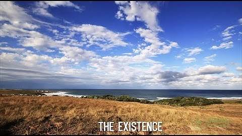 Cannabis is Essential with Steve DeAngelo