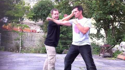 Step up, deflect, parry and punch application