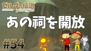 【任天堂スイッチ】ゼルダの伝説#54　ほったらかしにしてたあの祠をついに解放します【生声実況】