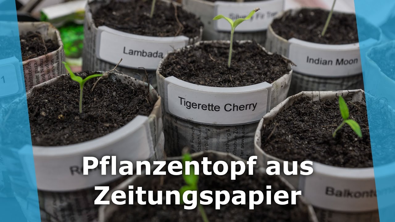 Topfschild für Blumentopf aus Zeitungspapier