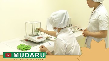 Khổ qua rừng Mudaru "thần dược" trị bệnh TIỂU ĐƯỜNG