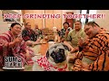 THE MAKING OF A STRONG WARRIOR – Sumo wrestlers gearing up for next major contest