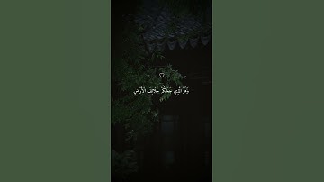 من التلاوات النادرة للشيخ ماهر المعيقلي - كمية خشوع وطمأنينة لا توصف في الآيات والصوت ماهر المعيقلي