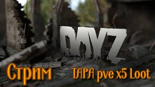 Стрим  Dayz Tapa Pve x 5 Loot  № 11