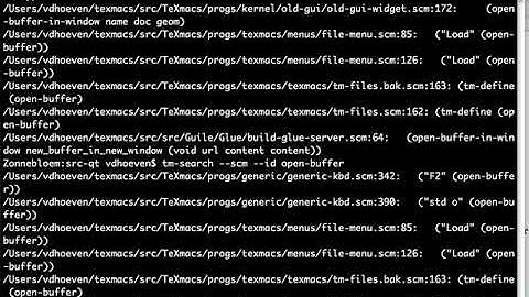 TeXmacs internals: document format, style files, and converters