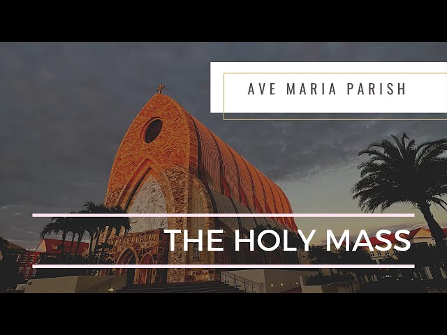 Holy Mass | The Solemnity of the Most Holy Body and Blood of Christ Corpus Christi class=