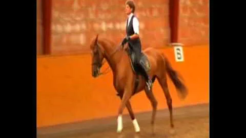 Birgit Beck-Broichsitte...  and Evita: Training wi...