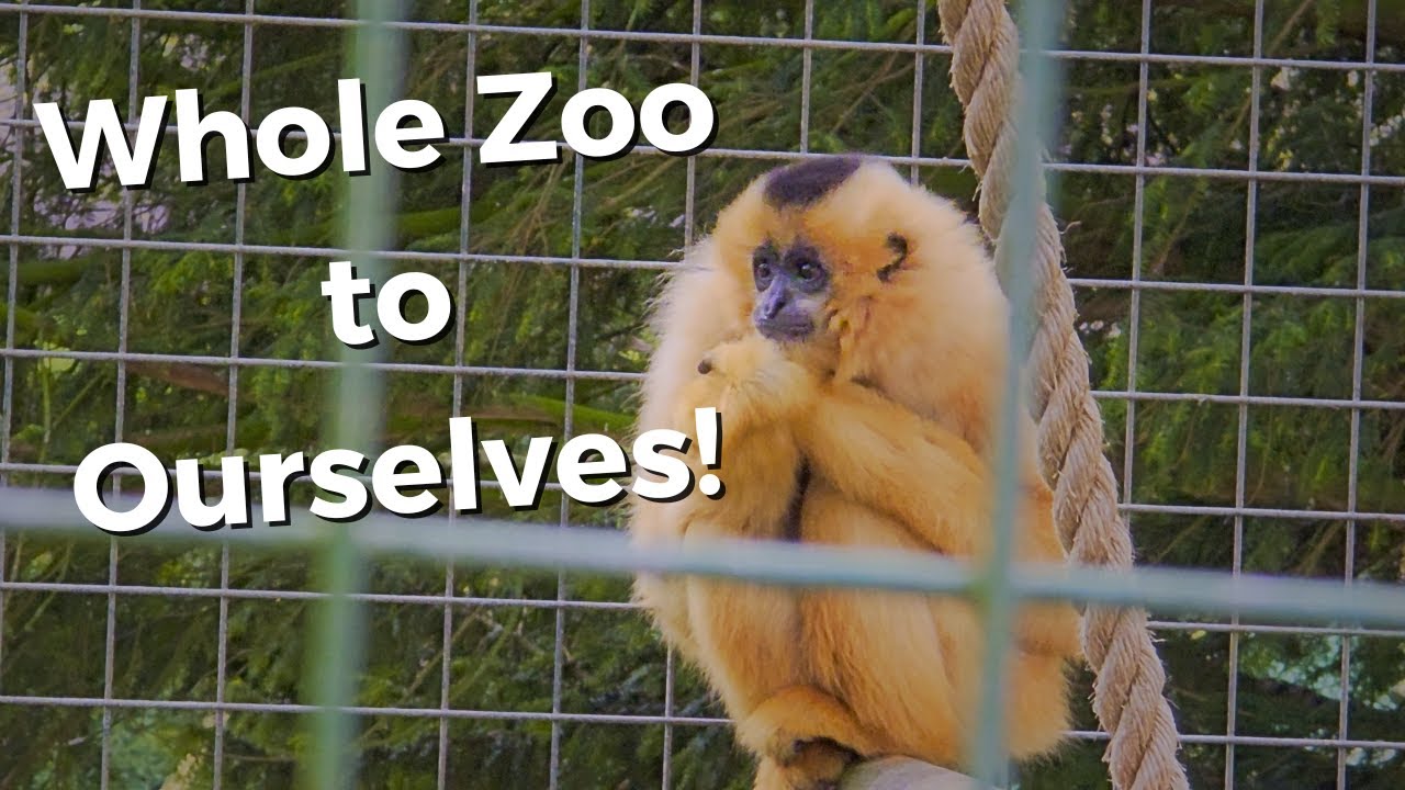Exploring an empty Zoo! | Thrigby Hall Wildlife Gardens, Norfolk
