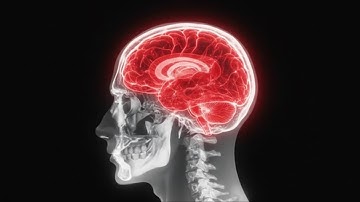 How to unf*** your brain