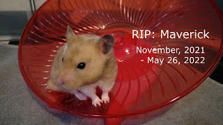 RIP: Maverick Wealth