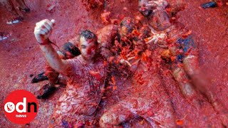 145 TONNES of Tomatoes Thrown During La Tomatina Festival 2019!