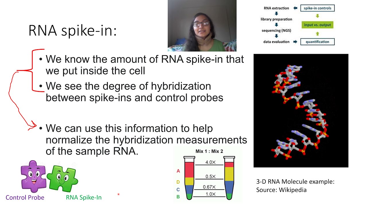 RNA-Seq Rescue Algorithm Part 2 of 2
