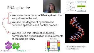 Famous RNA-Seq Rescue Algorithm Part 2 of 2 Profile