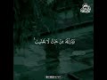 Calming Quran Recitation for Mind and Soul: Deep Spiritual Healing #HolyQuran #PeacefulQuran