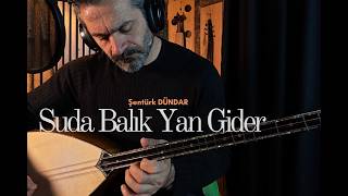 Fish Swim Sideways In Water - Şentürk Dündar