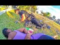 Woman Runs Over Cop During Traffic Stop, Gets the Surprise of Her Life