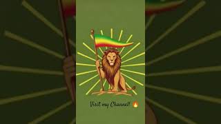 "March of the Morning Sun" - Reggae Dub - Zion Echo #reggae #reggaemusic #rootsreggae