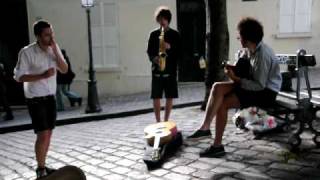 Video thumbnail of "Take a walk on the wild side (french street musicians)"