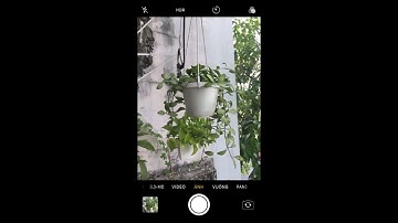 Chụp ảnh ngược sáng trên iphone - Nhiếp Ảnh Di Động (P. 9)