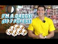 MY DOG GAVE BIRTH TO 7 PUPPIES | Enchong Dee