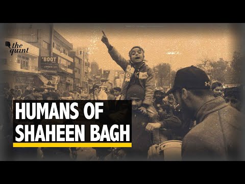 Behind Shaheen Bagh’s Women, An Army of Students, Doctors & Locals | The Quint