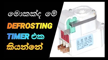 Defrost Timer
