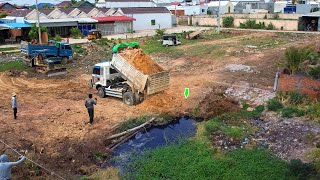 Get start a new project!! Dozer D20 & Dump Truck 5T ​Pouring Soil Into Flooded Pond​​