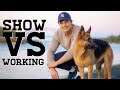 German Shepherd show vs working