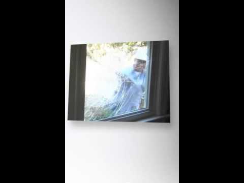 Security Gl Demonstration Sears Windows You Security Gl Demonstration Sears Windows