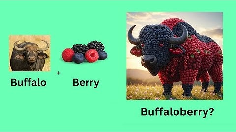 40+  Literal Vs Reality English Compound Words  