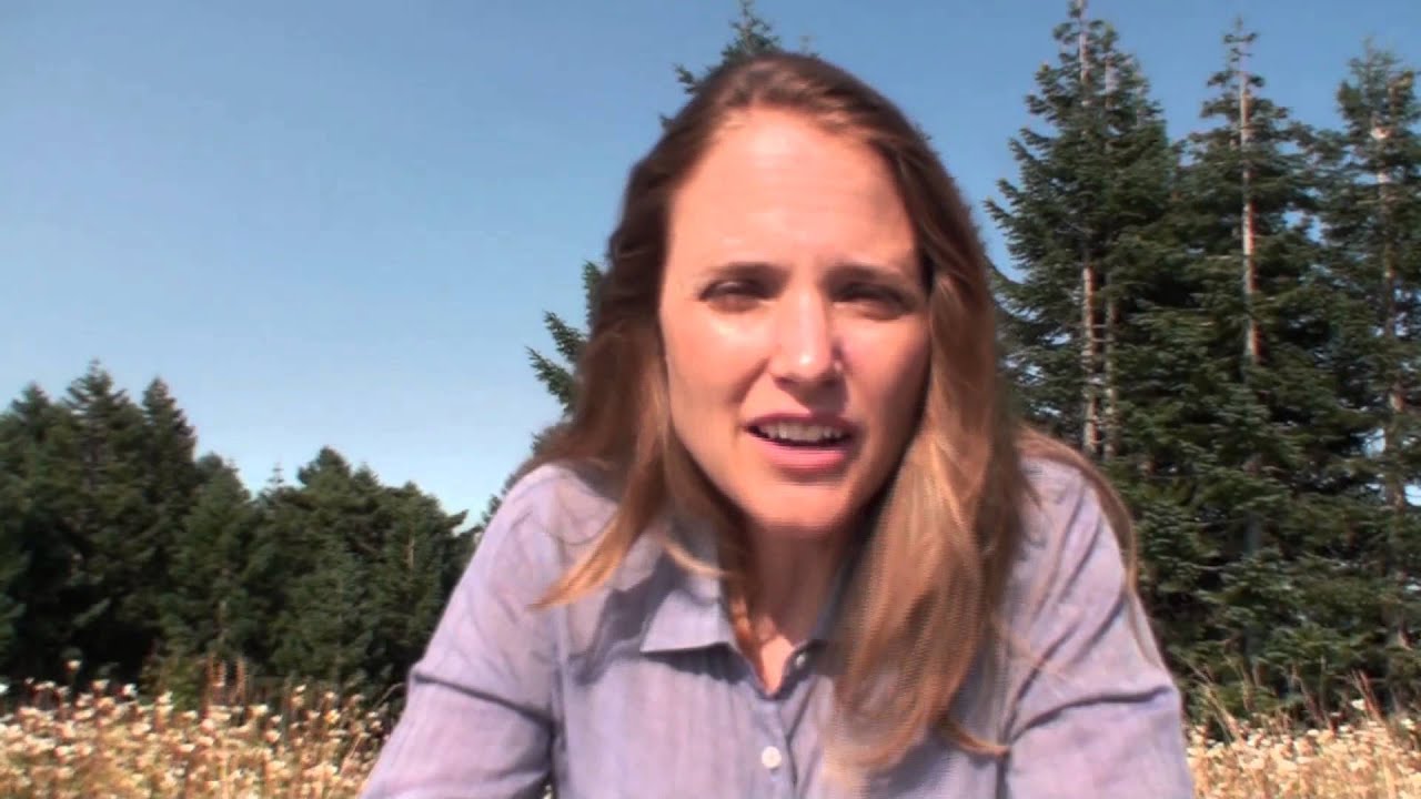 Dr. Katy Prudic's Research on Butterfly Eyespots