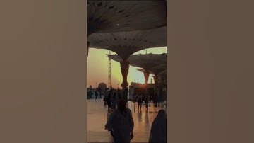 القارئ خالد جليل | سورة الغافر | غافر الذنب وقابل التوب شديد العقاب