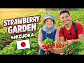 🍓 Hidden Japanese Village with a Strawberry Paradise 🇯🇵 | Shizuoka Vlog