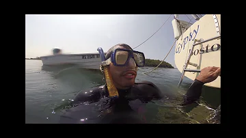 S/V Gypsy Days - Hull Cleaning, Beach Dog, and Aaron's Mom! (S1E03)