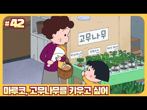 마루코, 고무나무를 키우고 싶어_New 마루코는 아홉살 3기 42화