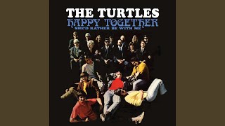 Video thumbnail of "The Turtles - Happy Together (Mono)"