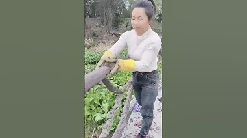 Cement Railing Manufacturing Process - Unique tools to boost efficiency and streamline work