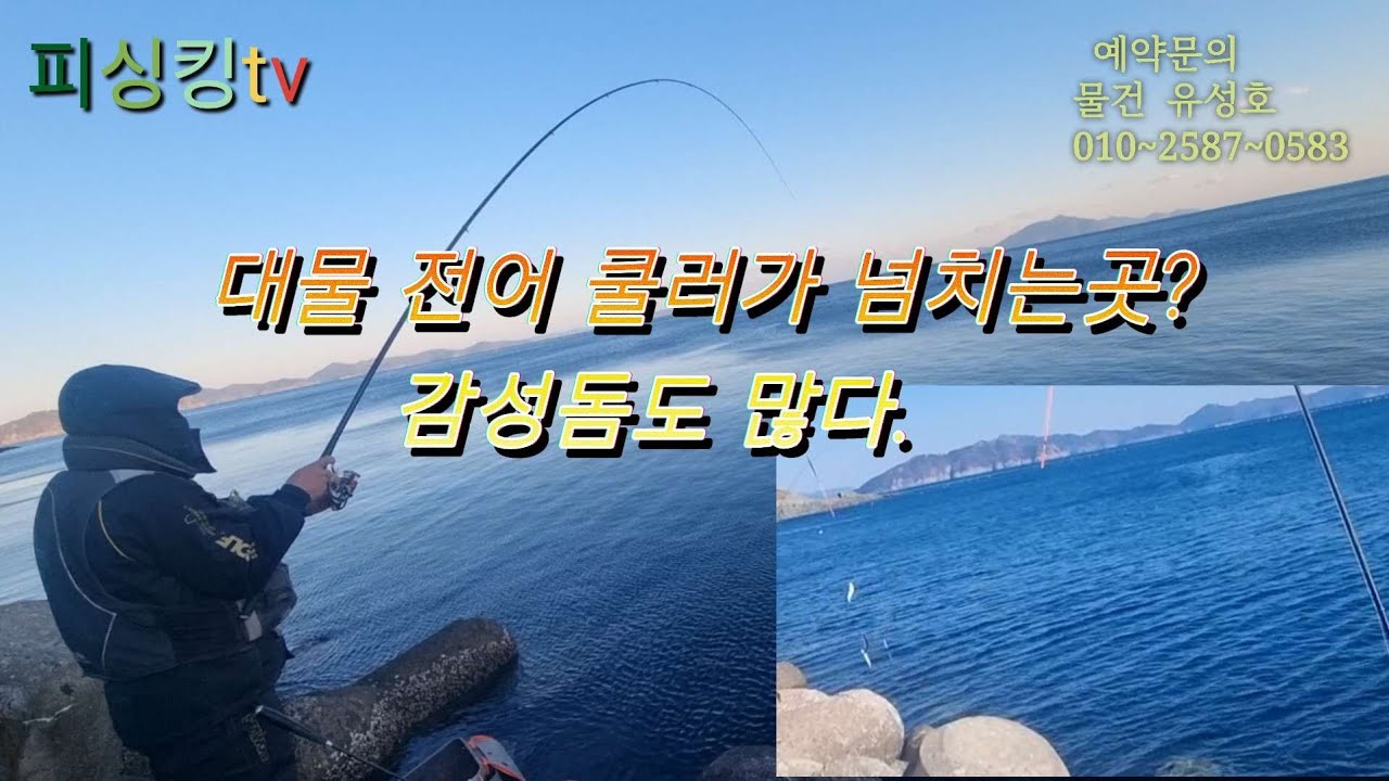 짬낚시 최고의 명소 대물 감성돔 대물전어 손맛좋다~~.with 물건 유성호.