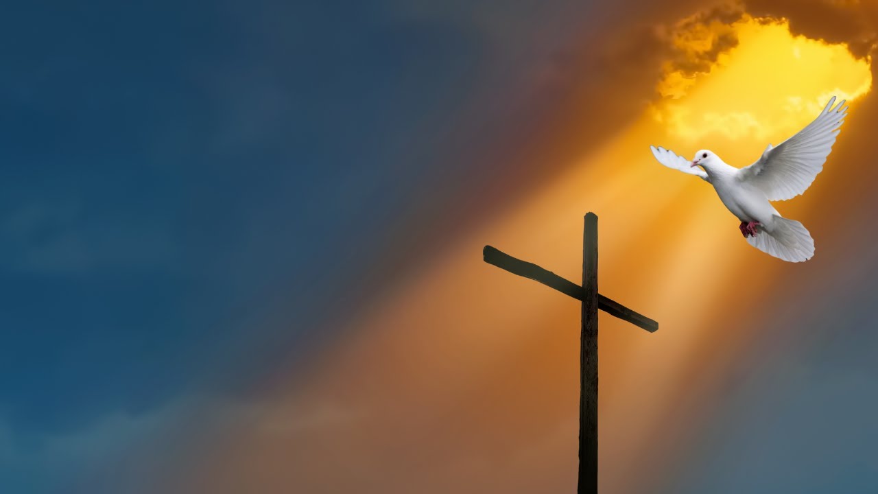 Divine Intervention For The Month Of