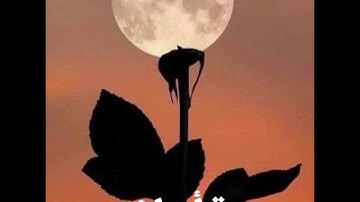 القارئ ناصر العصفور سورة أبراهيم