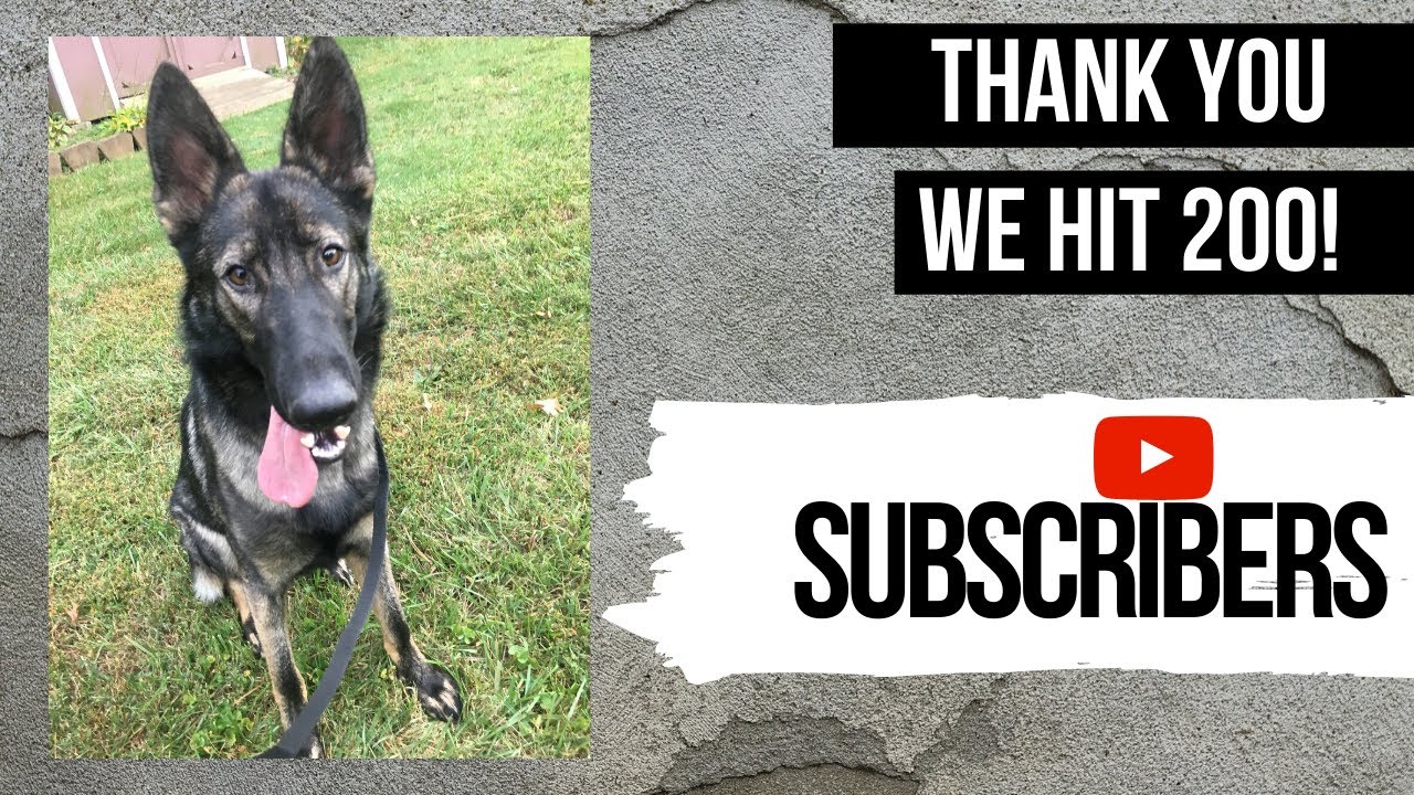 200 Subs: My YouTube Stats Revealed