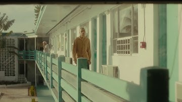 Dominic Fike (NEW SONG SNIPPET) Looped