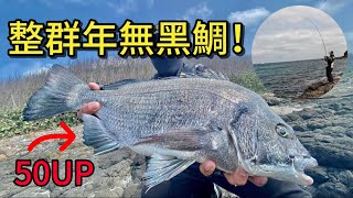 《磯釣》無人釣場竟藏著一整群年無黑鯛越來越沉重的拉力到底是什麼鬼