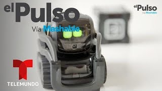 El Pulso | POWER UP: Vector de Anki review en español: robot de casa con personalidad | Telemundo
