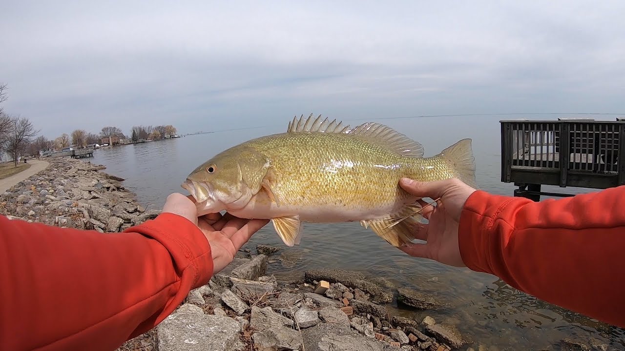 Lake St. Clair Metropark Fishing YouTube