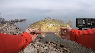 Lake St. Clair Metropark Fishing